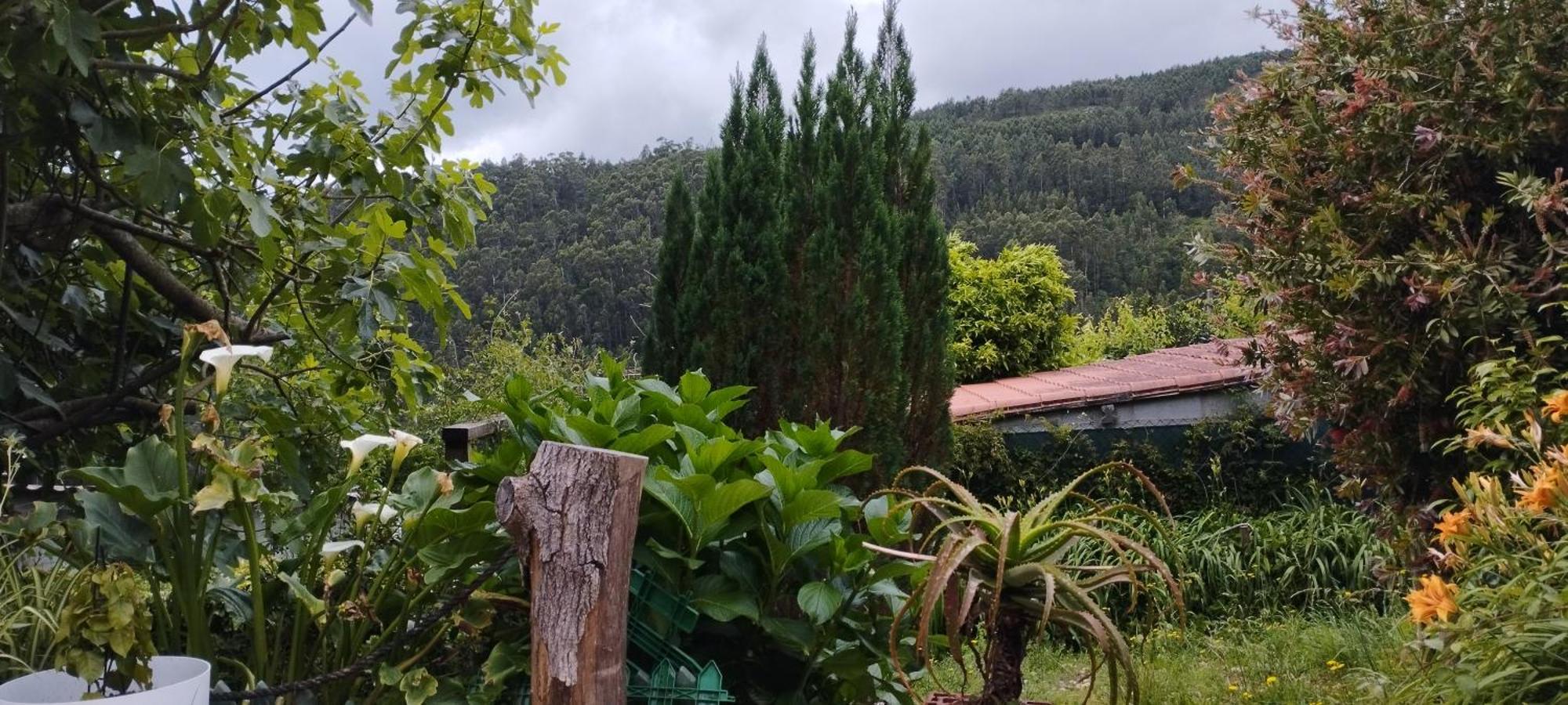 Casa Rural & Parrillada Miguel Lousame 외부 사진