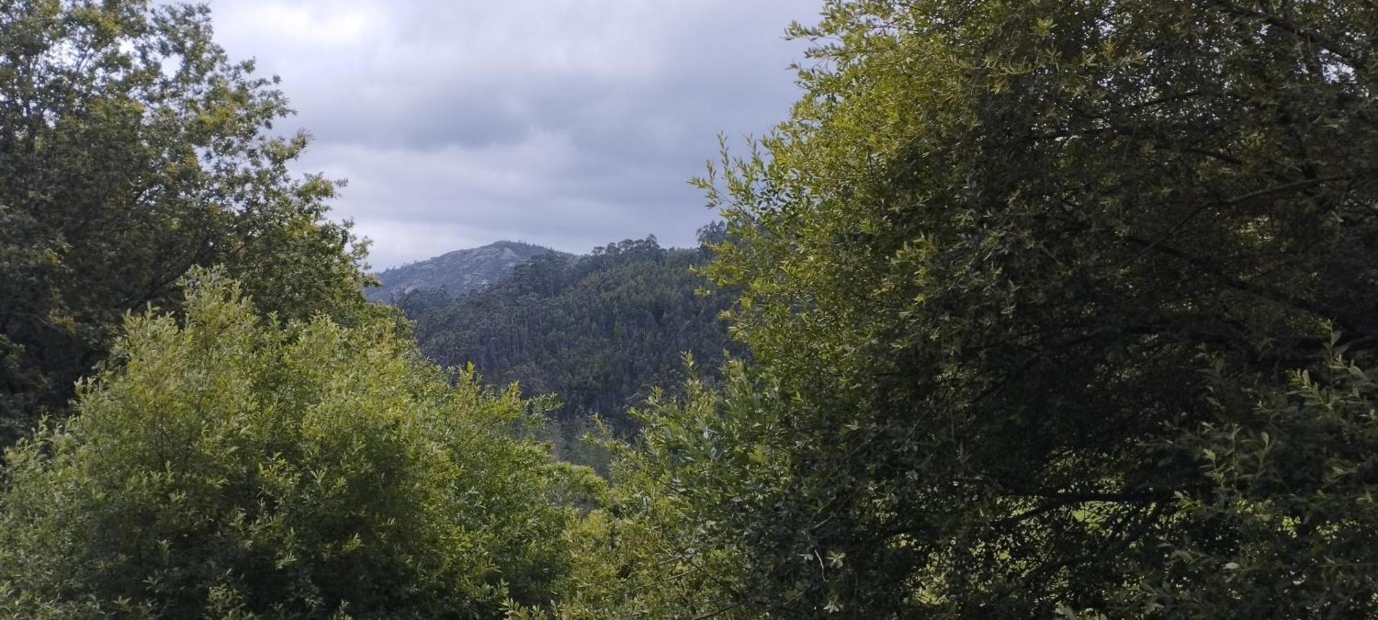 Casa Rural & Parrillada Miguel Lousame 외부 사진